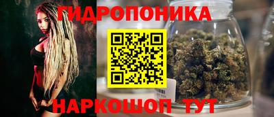 ПСИЛОЦИБИНОВЫЕ ГРИБЫ Беслан