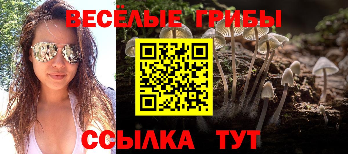 Ирбит  Галлюциногенные грибы прущие грибы  Псилоцибиновые грибы Cubensis  Вход с VPN 